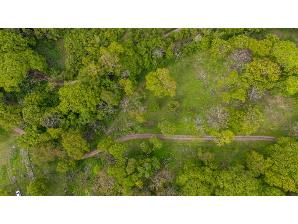 VENTA DE TERRENO EN CHACRAS DE PULARES (LOTE N° 1), CHICOANA, SALTA - 5