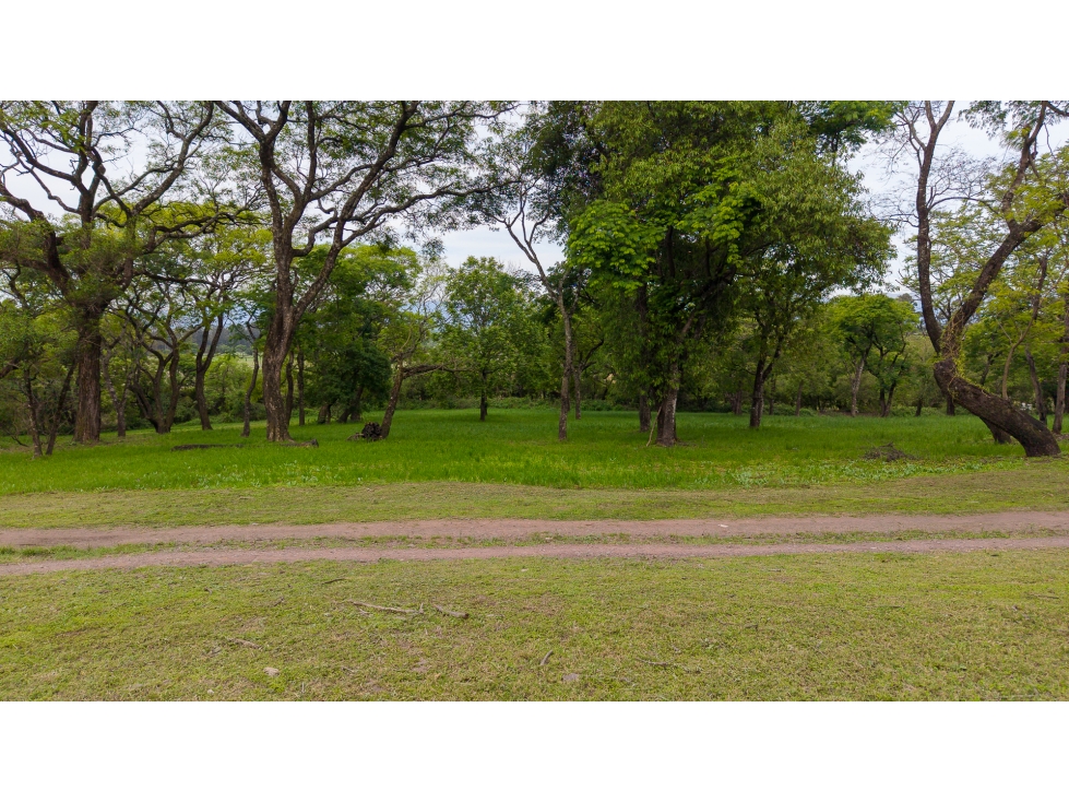 VENTA DE TERRENO EN CHACRAS DE PULARES (LOTE N° 7), CHICOANA, SALTA - 5