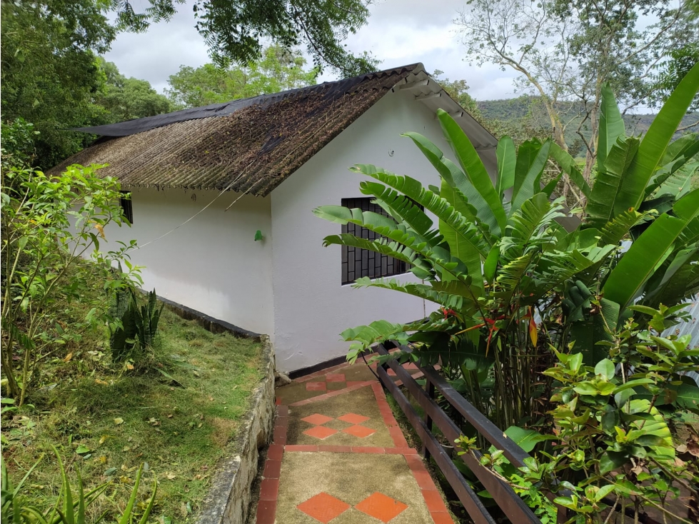VENDO FINCA 1.5 HECTAREAS VEREDA LA SONORA NILO CUNDINAMARCA - 2