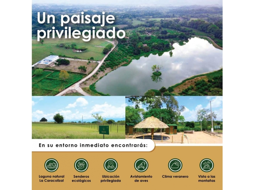 VENDO LOTES DESDE 1.132 M2 VIA MELGAR AL CARMEN DE APICALA TOLIMA — foto 5