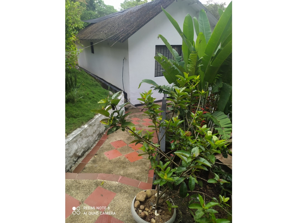 VENDO FINCA 1.5 HECTAREAS VEREDA LA SONORA NILO CUNDINAMARCA - 4