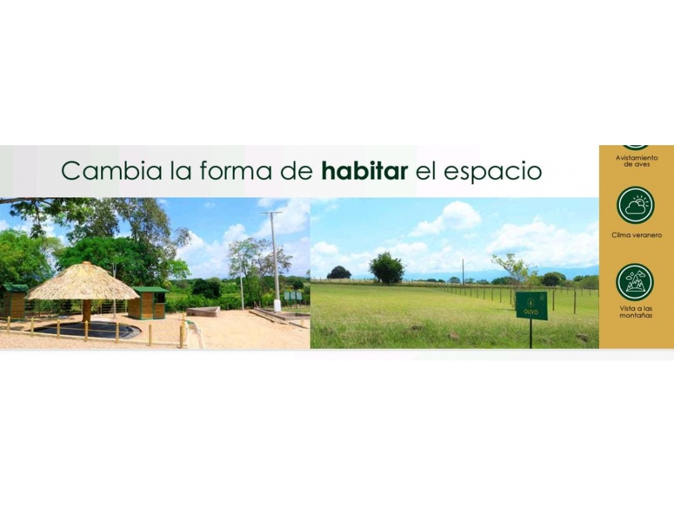 VENDO LOTES DESDE 1.132 M2 VIA MELGAR AL CARMEN DE APICALA TOLIMA — foto 4