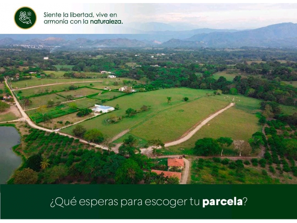 VENDO LOTES DESDE 1.132 M2 VIA MELGAR AL CARMEN DE APICALA TOLIMA — foto 6