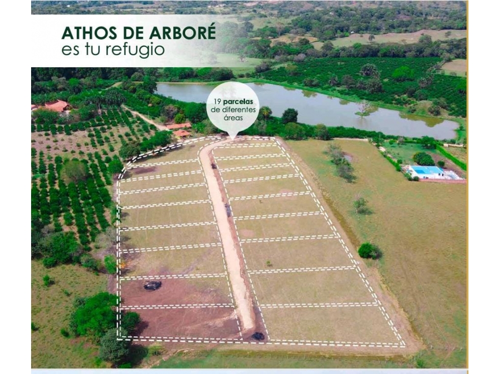 VENDO LOTES DESDE 1.132 M2 VIA MELGAR AL CARMEN DE APICALA TOLIMA — foto 2