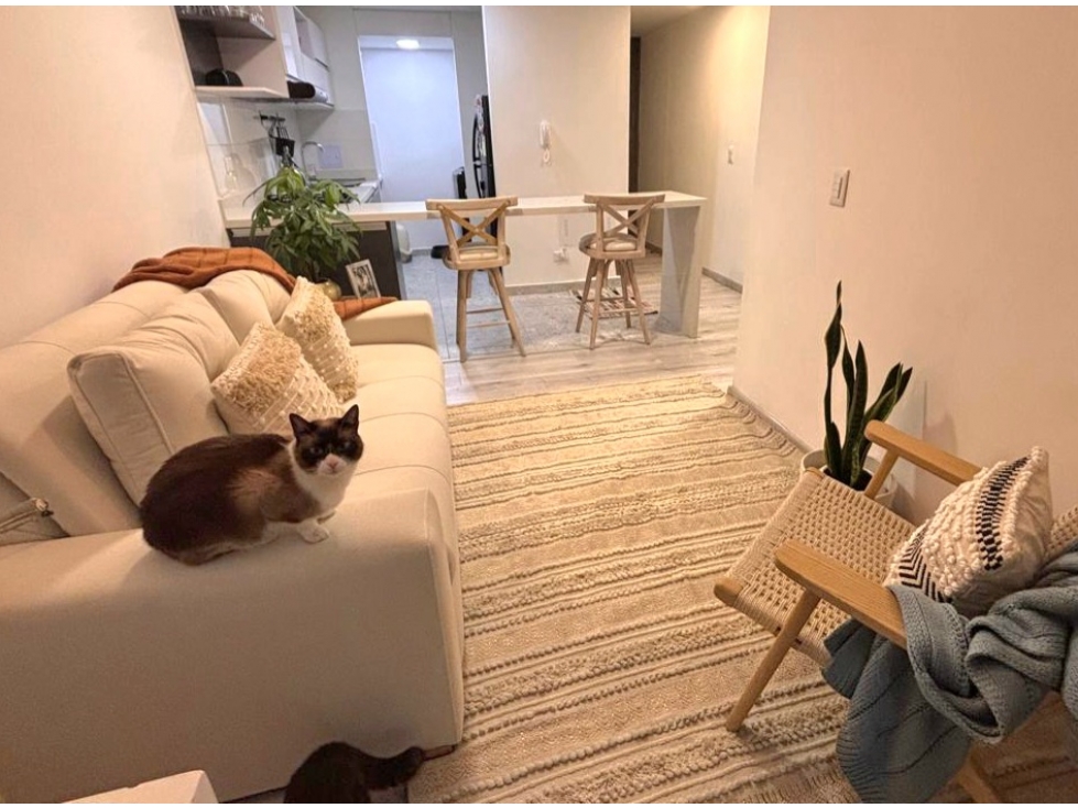 SE VENDE APARTAMENTO EN SANTA TERESA — foto 5