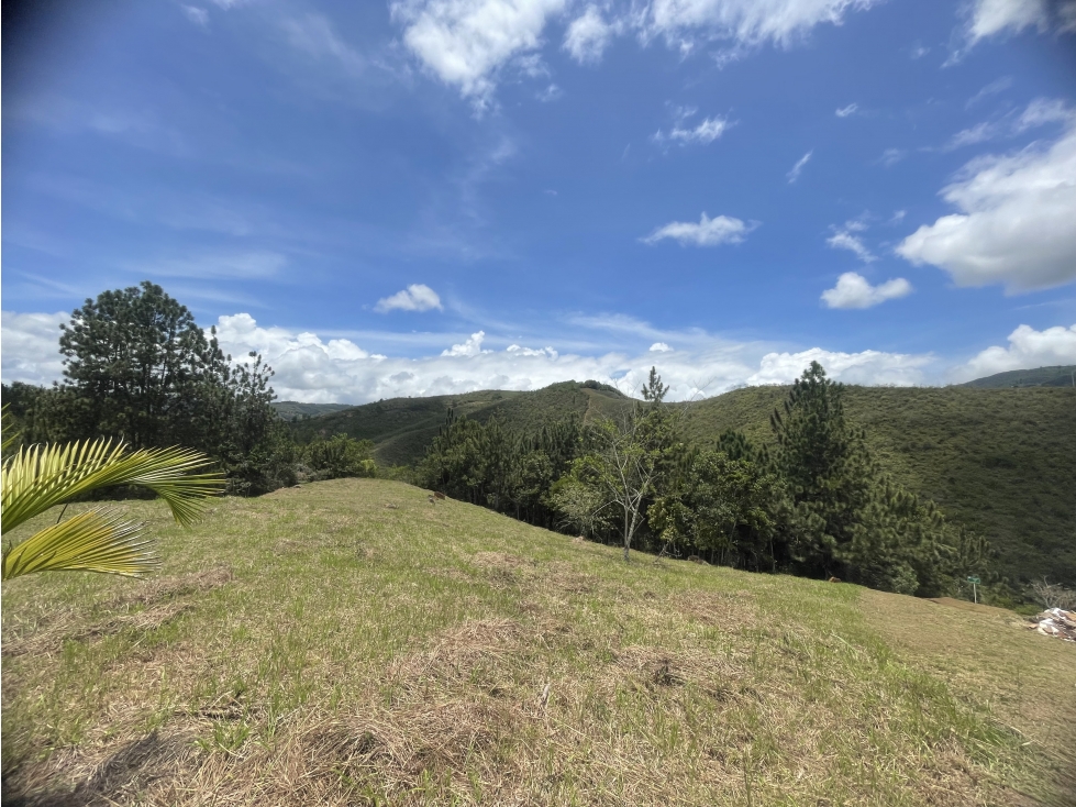 LOTE EN VENTA 2.000M2 PARCELACION LOS PIRINEOS KM37 VÍA QUEREMAL DAGUA