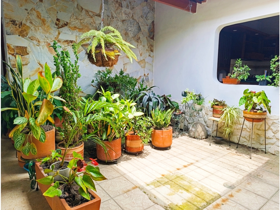 CASA EN VENTA PRADOS DEL NORTE UN NIVEL 320M2 — foto 2