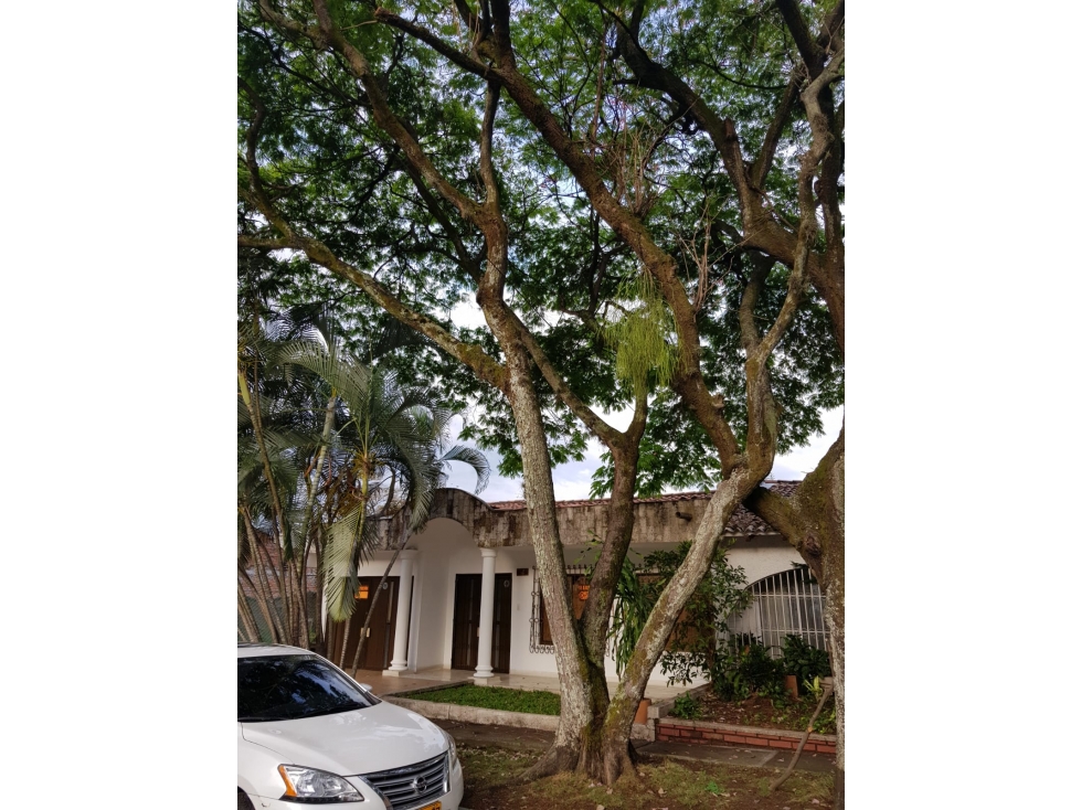 CASA EN VENTA UN NIVEL LA FLORA 280 M2
