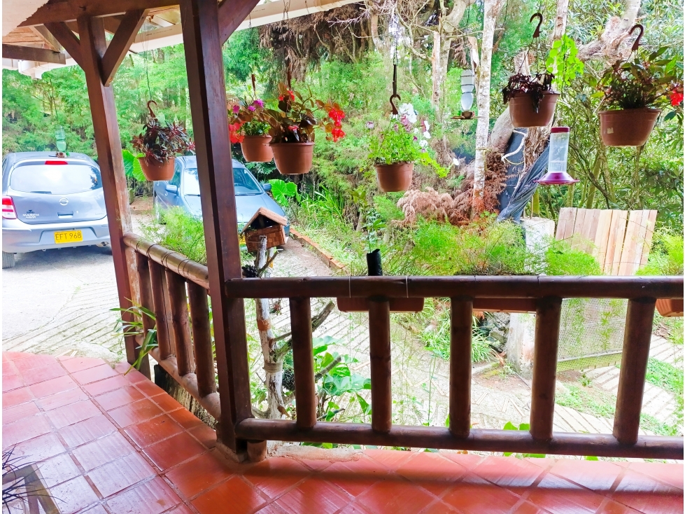 LOTE CON CASA CAMPESTRE RENTANDO EN MEDIO DAPA 330M2 — foto 4