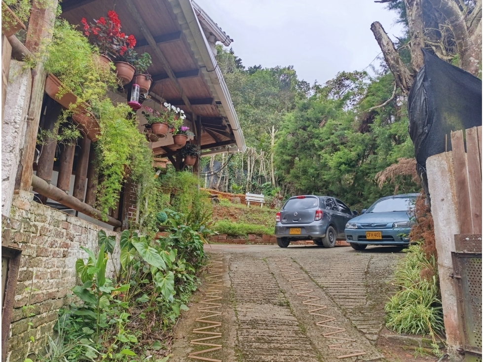 LOTE CON CASA CAMPESTRE RENTANDO EN MEDIO DAPA 330M2 — foto 2