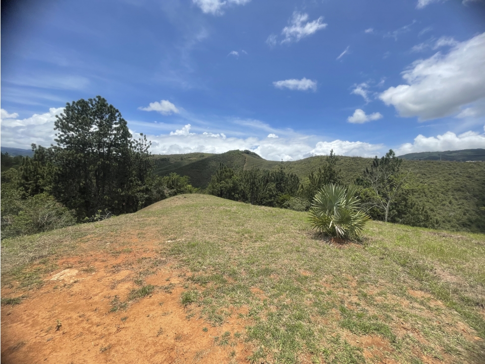 LOTE EN VENTA 2.000M2 PARCELACION LOS PIRINEOS KM37 VÍA QUEREMAL DAGUA — foto 3