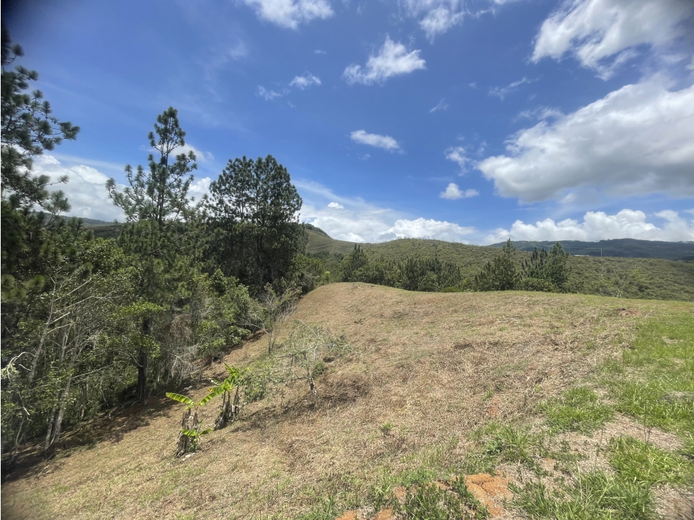 LOTE EN VENTA 2.000M2 PARCELACION LOS PIRINEOS KM37 VÍA QUEREMAL DAGUA — foto 4