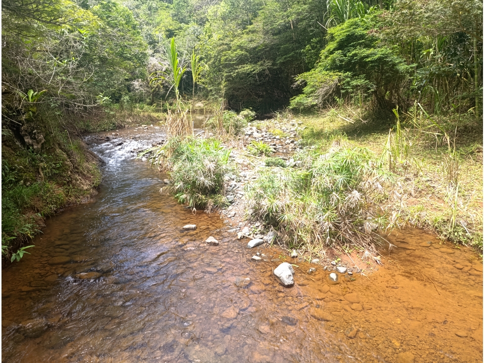 LOTE EN VENTA 2.000M2 PARCELACION LOS PIRINEOS KM37 VÍA QUEREMAL DAGUA — foto 5