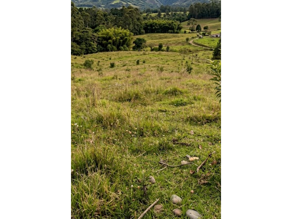 Lote en Llanogrande via el Tablazo
