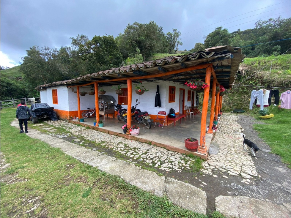 VENDO FINCA PRODUCTIVA EN SONSON ANTIOQUIA - 3