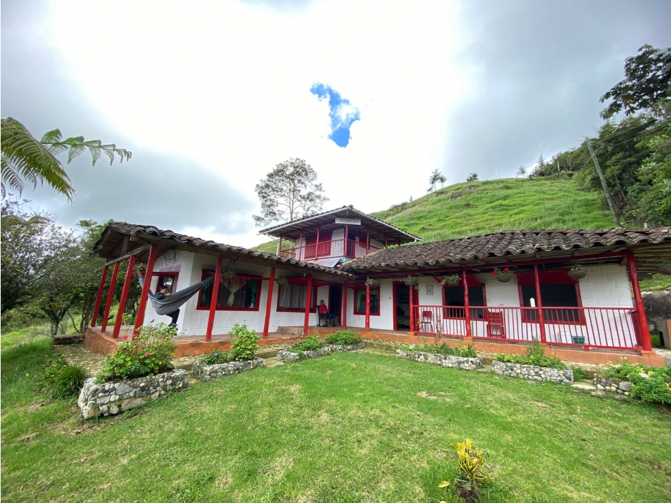 VENDO FINCA PRODUCTIVA EN SONSON ANTIOQUIA - 2