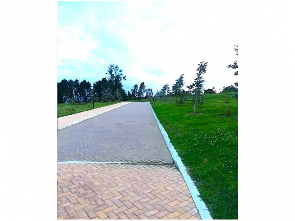 Venta excelente lote alto de las palmas — foto 4