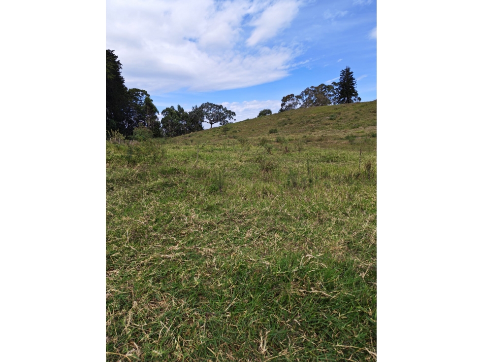 Lote en Llanogrande via el Tablazo — foto 3