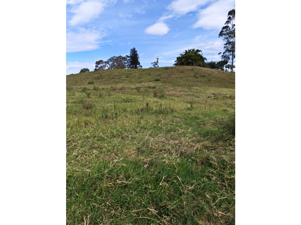 Lote en Llanogrande via el Tablazo — foto 4