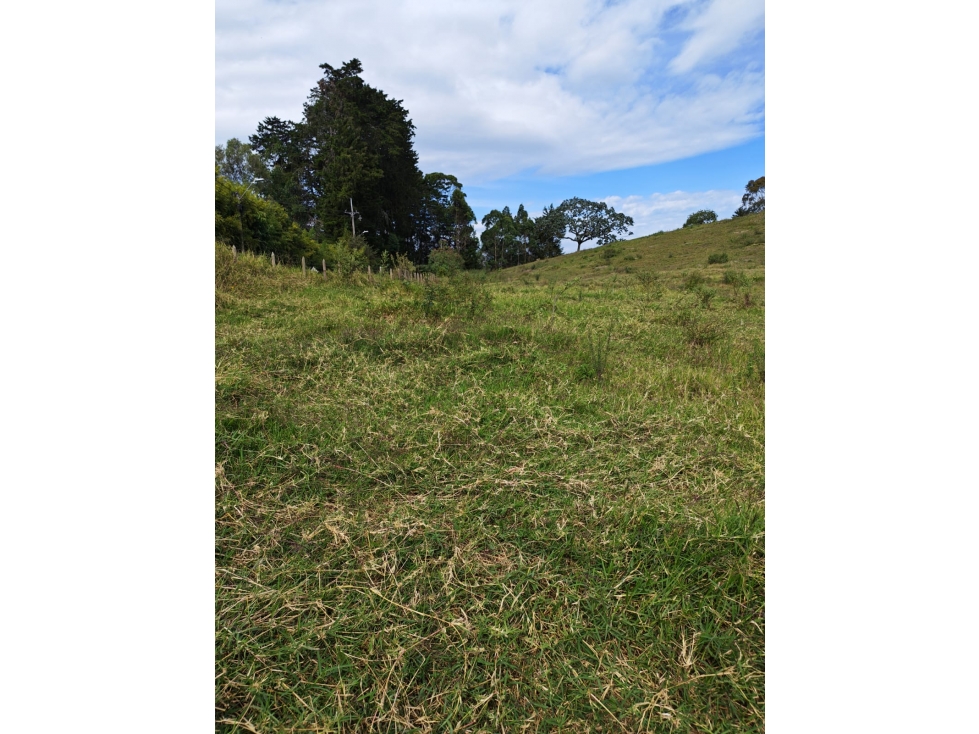 Lote en Llanogrande via el Tablazo — foto 5