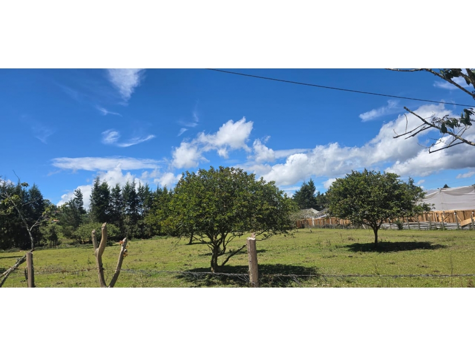 LOTE EN VENTA GRAN UBICACION RIONEGRO GUARNE 360MIL M2 — foto 5