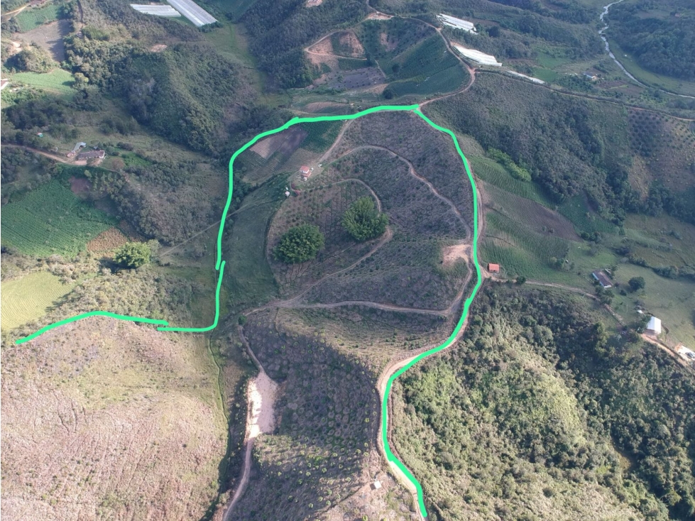 Venta Excelente Finca Productora de Aguacate San Vicente — foto 4