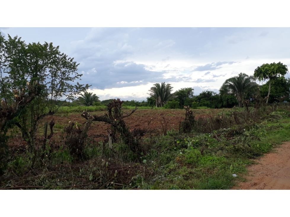 VENTA TERRENO - SAN ANTERO - 5