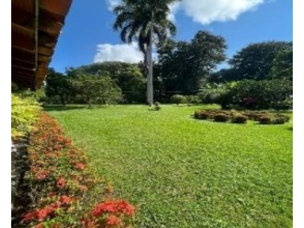 VENTA FINCA - SANTA DE FE DE ANTIOQUIA — foto 5