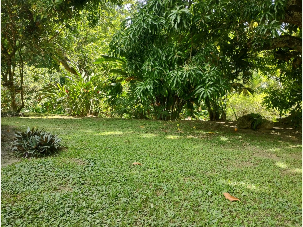 VENDO FINCA - SOPETRAN. — foto 5