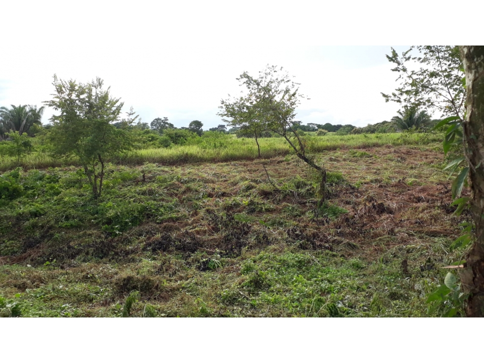 VENTA TERRENO - SAN ANTERO - 6