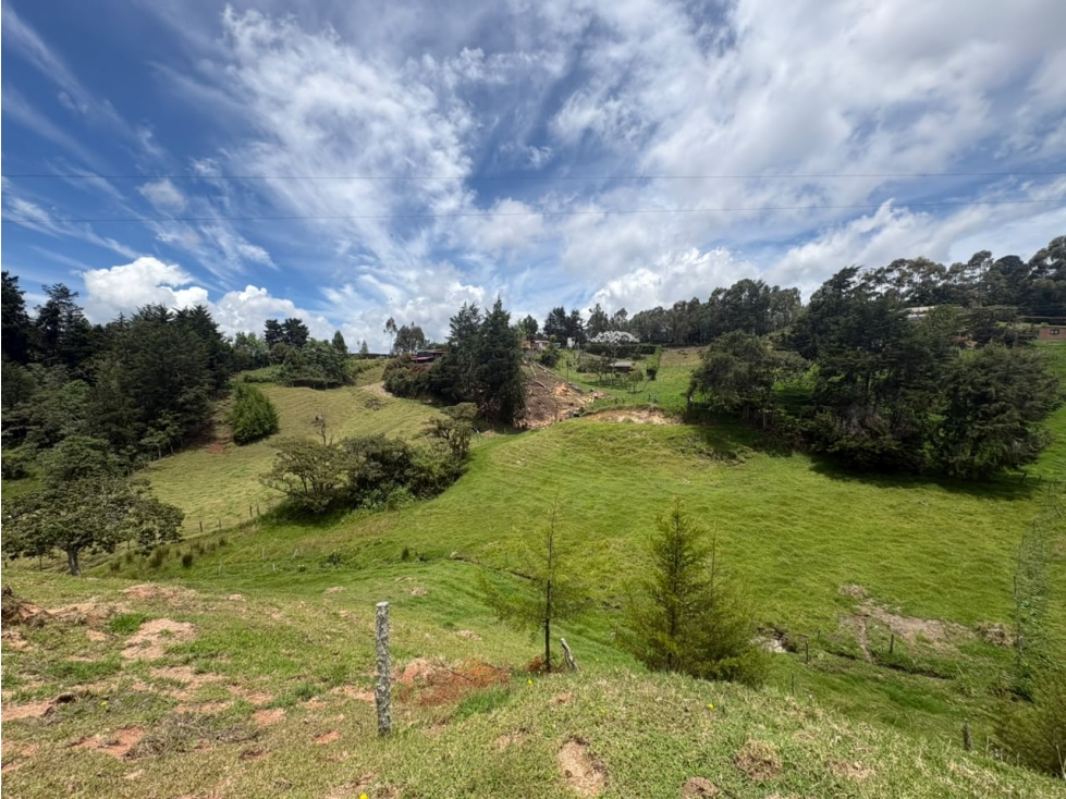 VENTA FINCA - SAN FELIX. — foto 3