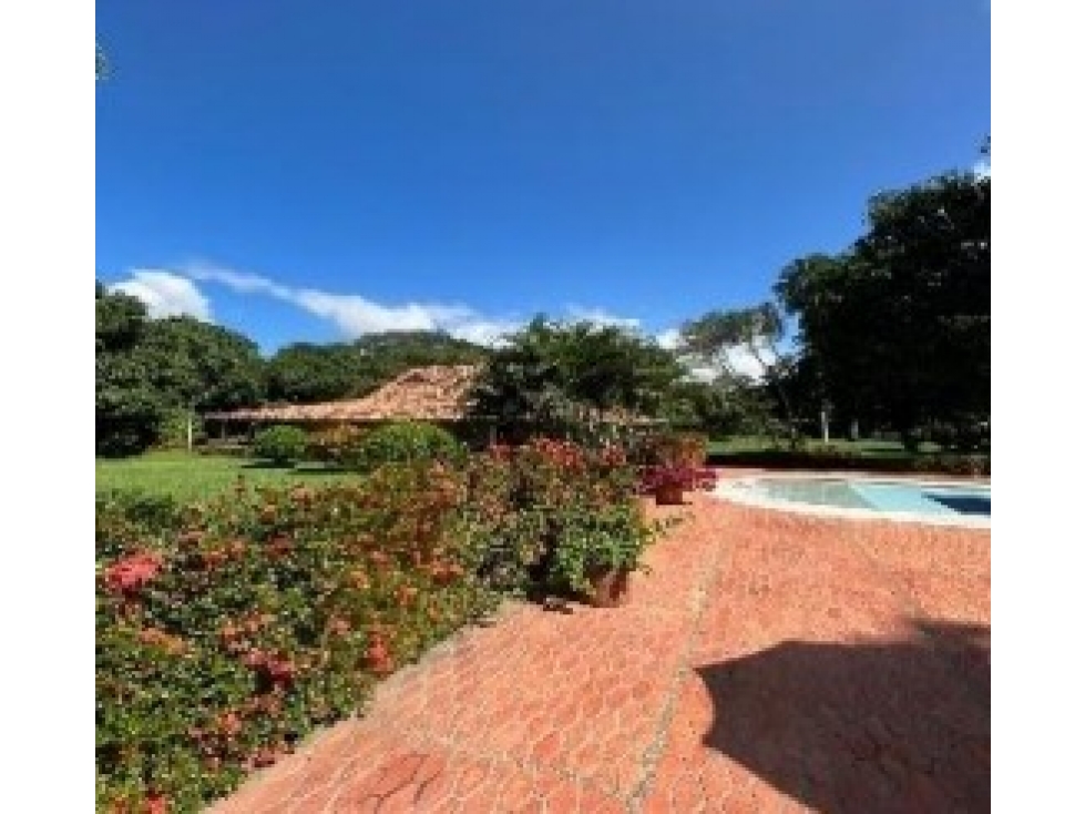 VENTA FINCA - SANTA DE FE DE ANTIOQUIA — foto 2