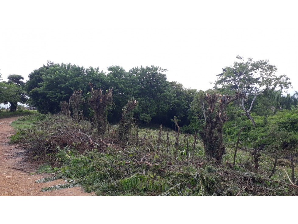 VENTA TERRENO - SAN ANTERO - 2