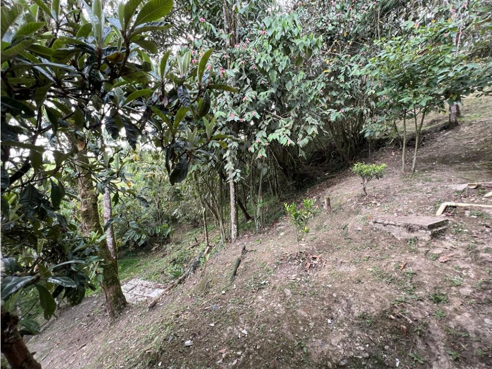 VENDO CASA - SAN FELIX BELLO. — foto 6
