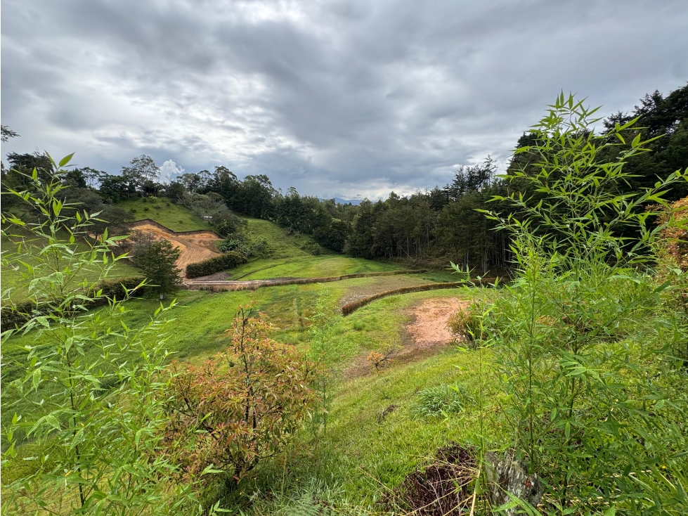 VENTA LOTE - LLANOGRANDE CERCA A SAN ANTONIO DE PEREIRA