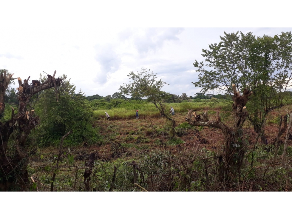 VENTA TERRENO - SAN ANTERO - 3