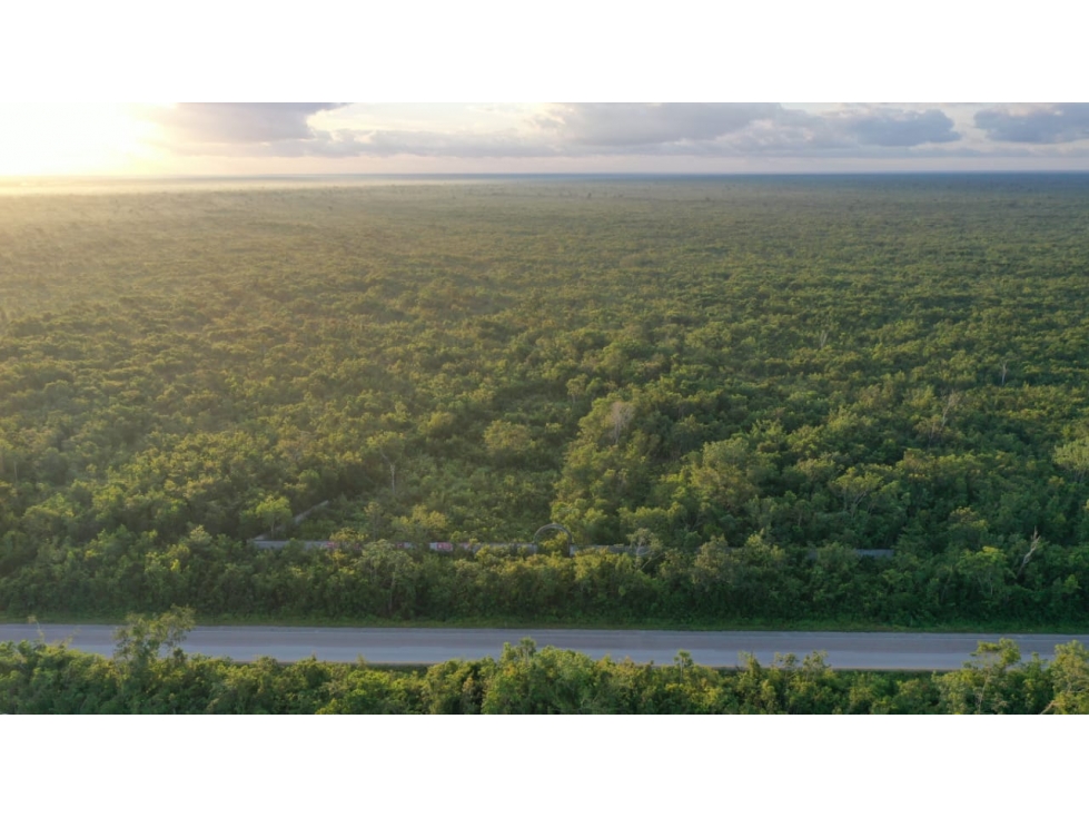 Terreno en venta 5h a pie de carretera 20 km Cancún rumbo Merida - 4