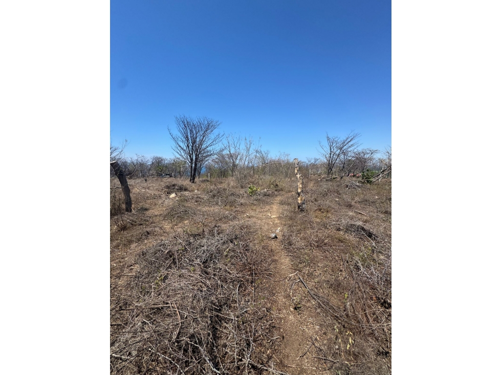 Venta Terreno Mazunte Oaxaca $2.8 MDP 840 m2 - 6