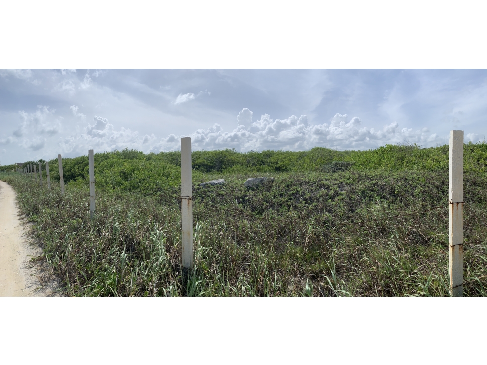 Venta-Terreno Pto Morelos 2a linea de playa - 6,400 m2 / 960,000 USD - 2