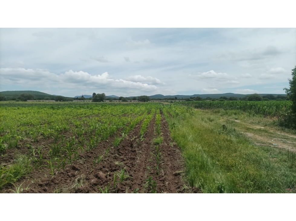 Terreno industrial Venta Aeropuerto Queretaro 46mil M2 $600 m2 - 6