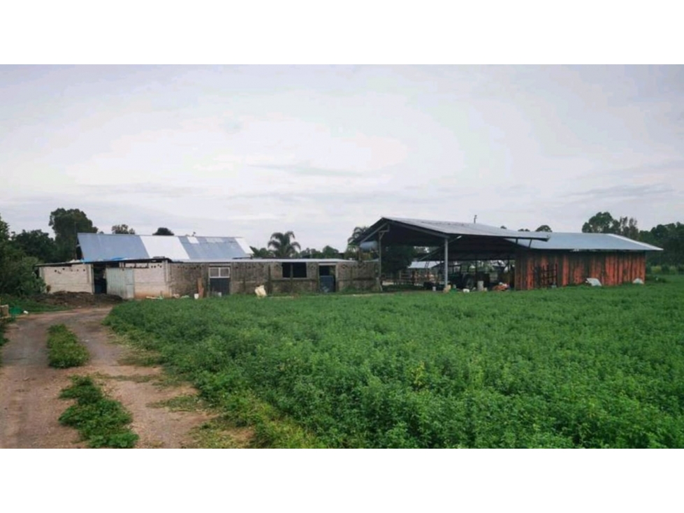 Rancho Ganadero $14MDP 4Ha, Queretaro - 3