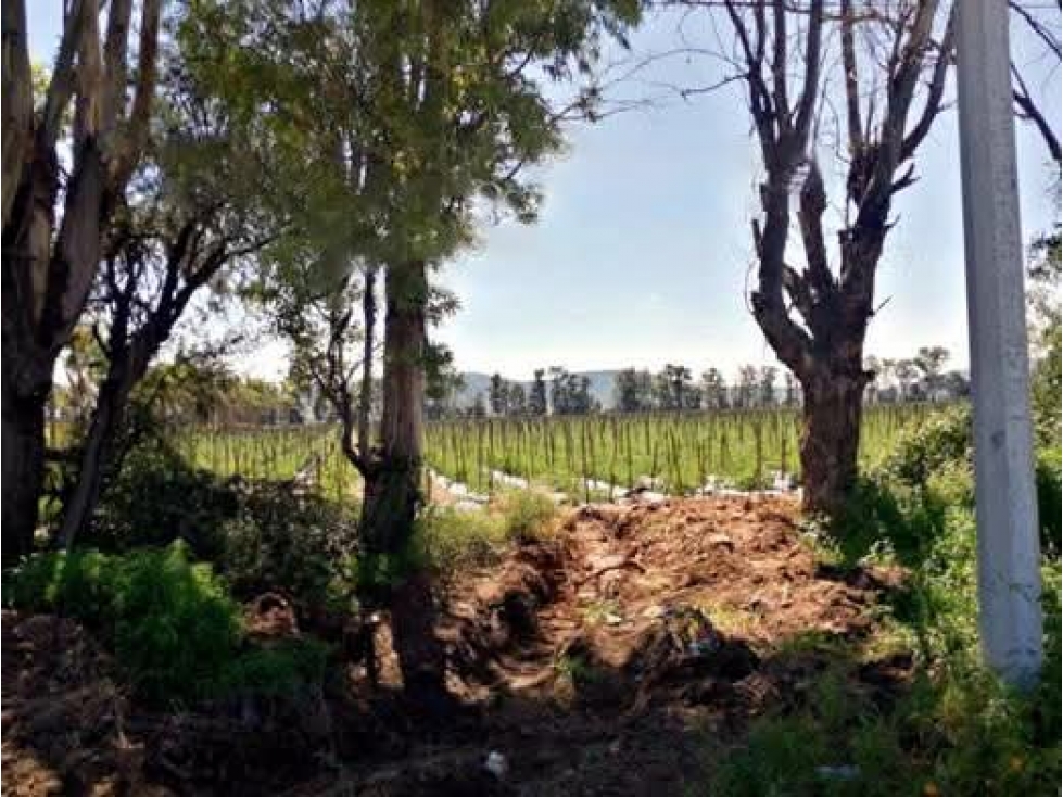 Terreno Venta Tequisquiapan Queretaro 73ha - 2