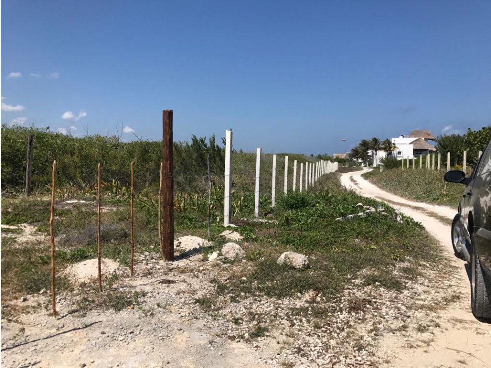 Venta-Terreno Pto Morelos 2a linea de playa - 6,400 m2 / 960,000 USD - 5