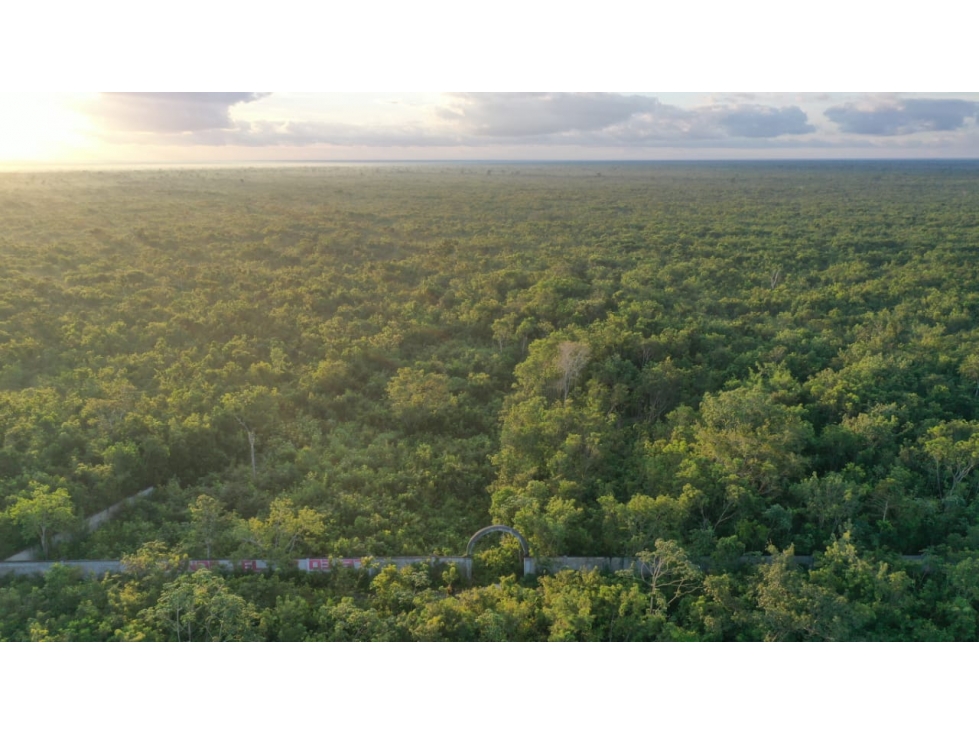 Terreno en venta 5h a pie de carretera 20 km Cancún rumbo Merida - 3