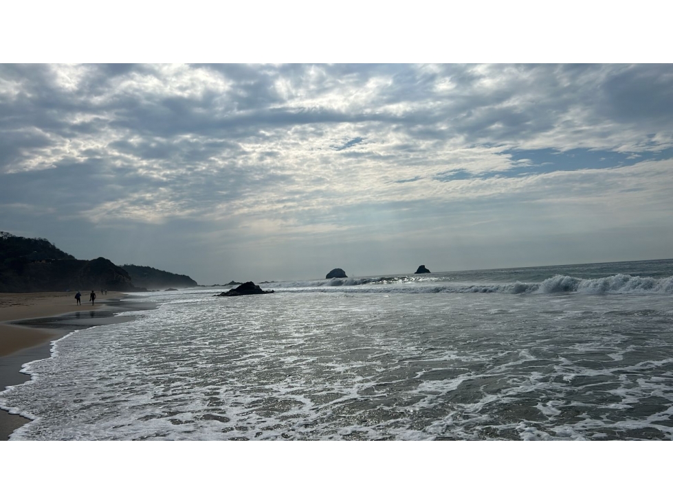 Venta Terreno Mazunte $5.5 MDP 2,500m2 OAXACA - 3