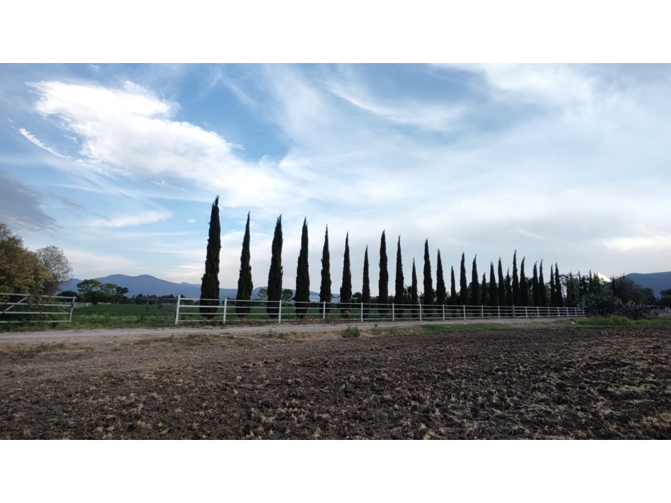 Rancho Ganadero $14MDP 4Ha, Queretaro - 4
