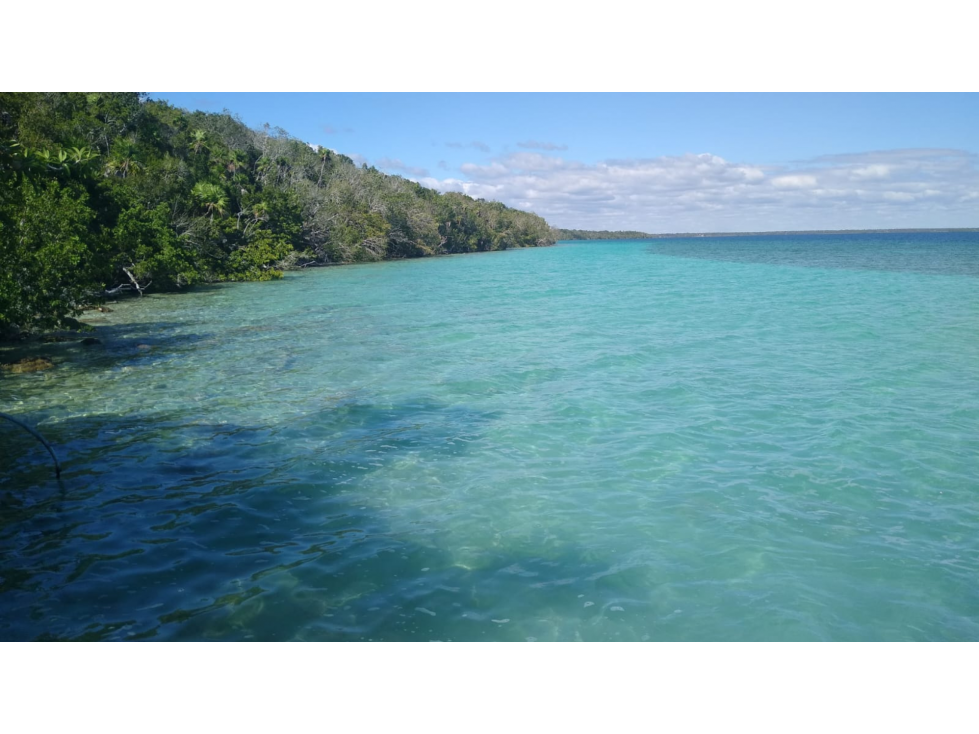 Laguna Bacalar Casa-Terreno con muelle, 5000m2 $20MDP - 2