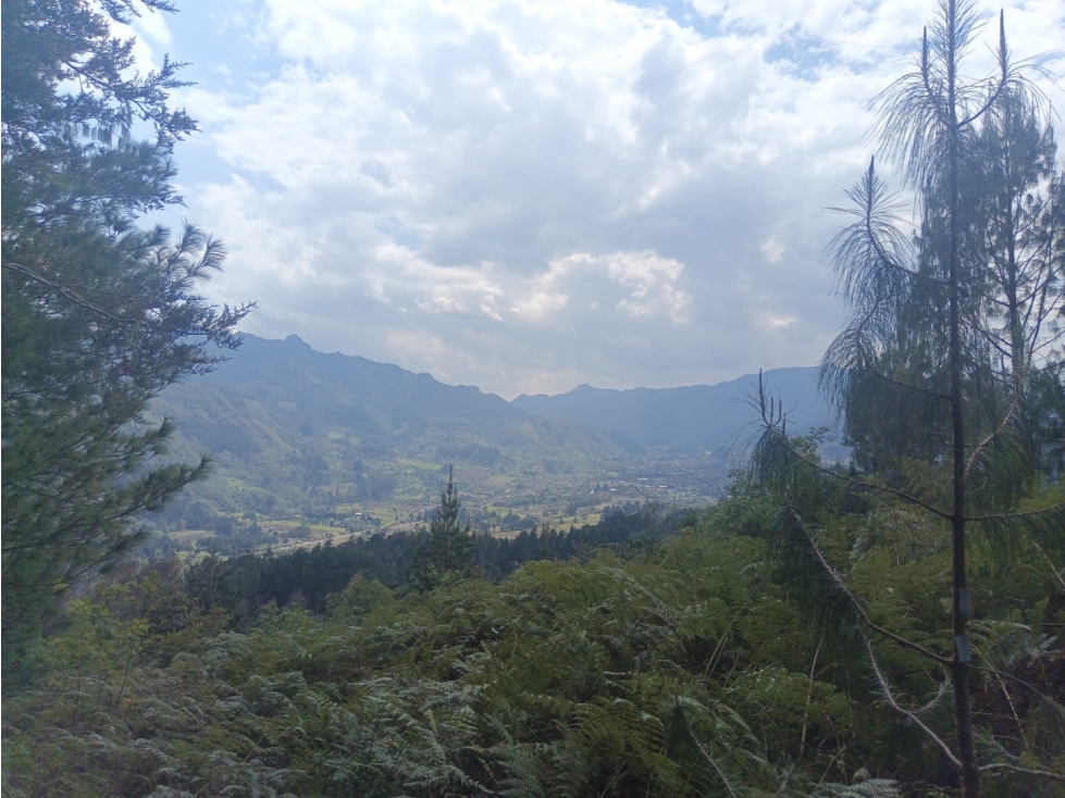 Venta Rancho Ixhuacan Veracruz 52 ha - 5