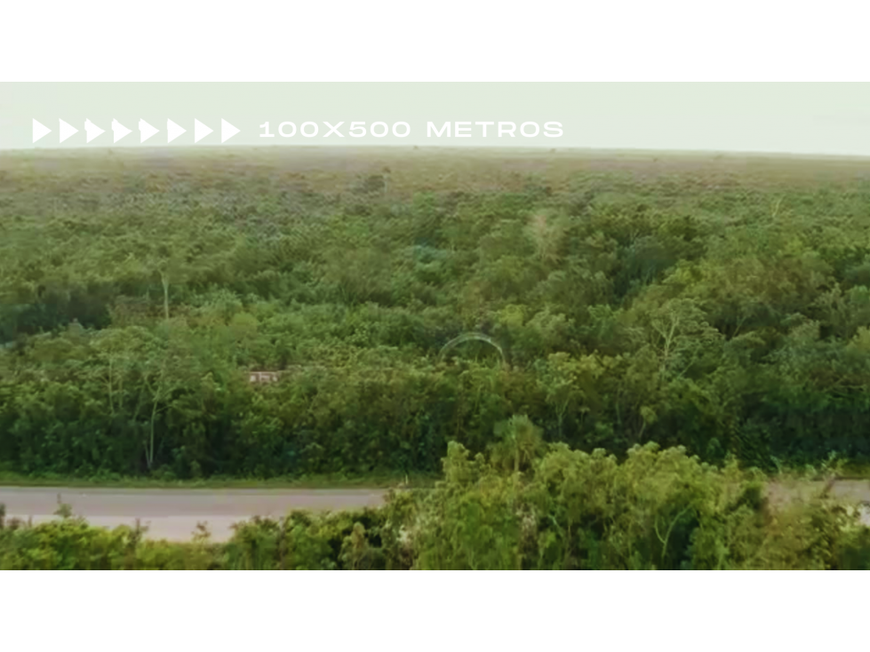 Terreno en venta 5h a pie de carretera 20 km Cancún rumbo Merida - 6