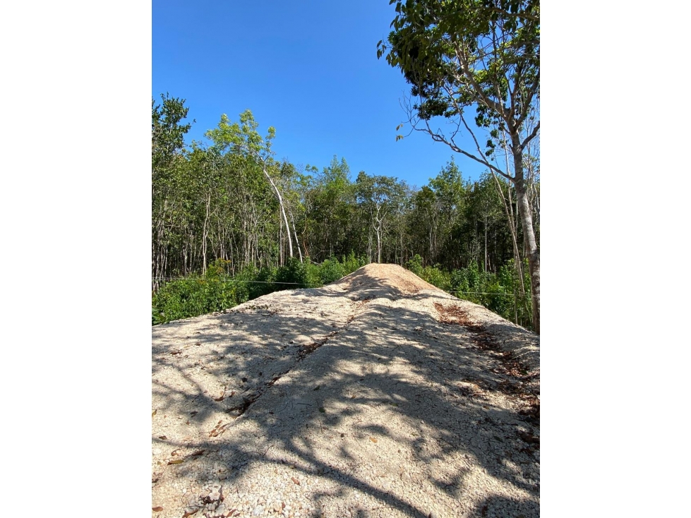 Venta Terreno Ecológico Cancun. El Pedregal 3000m2 1.1 MDP - 4